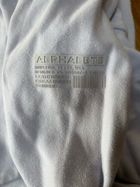 Alphalete Lilac/Blue Logo Sweatshirt in Light Gray